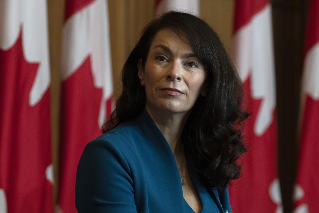 L’opposition veut qu’Ottawa rapatrie les Canadiens faits prisonniers en Syrie